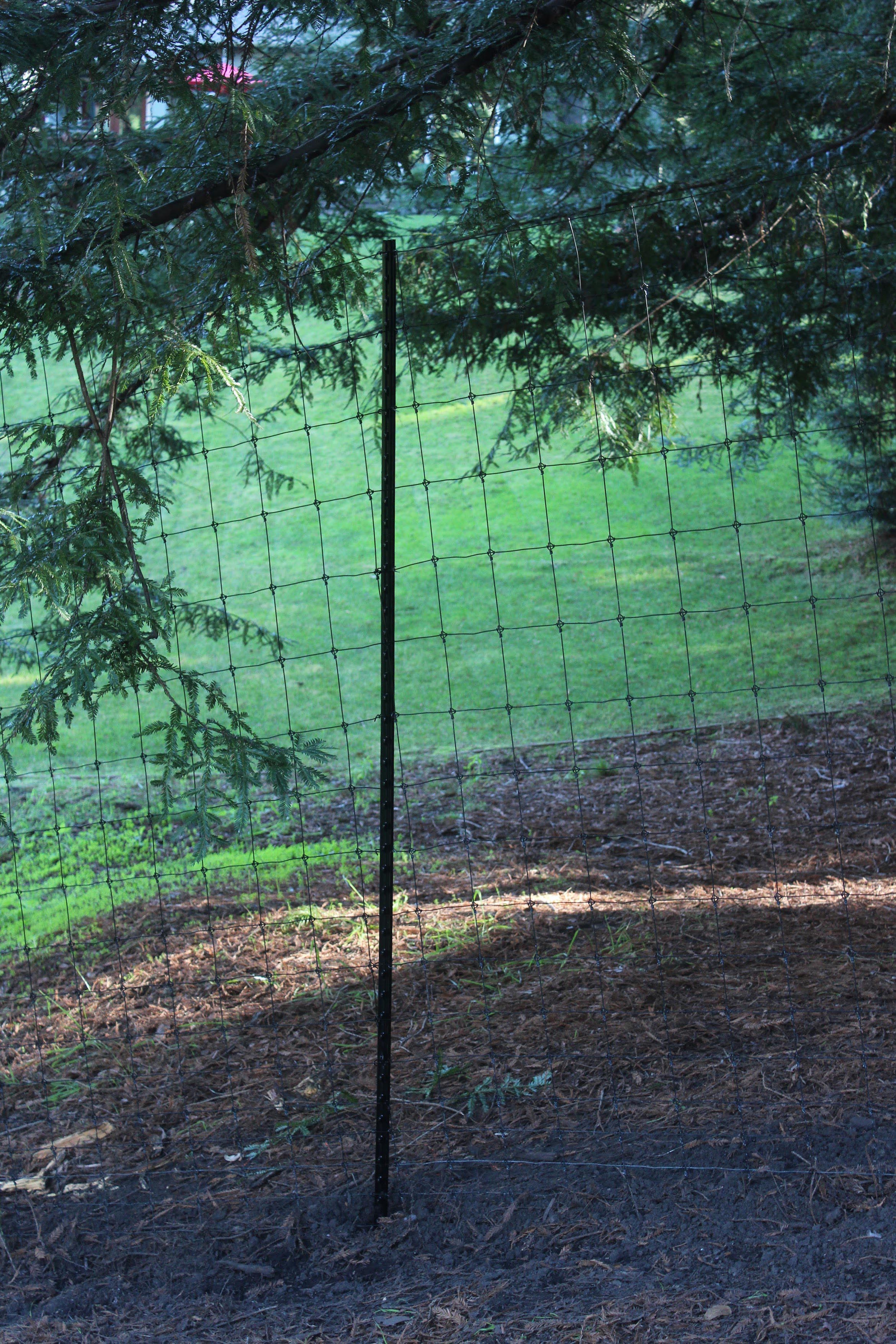 Deer fences